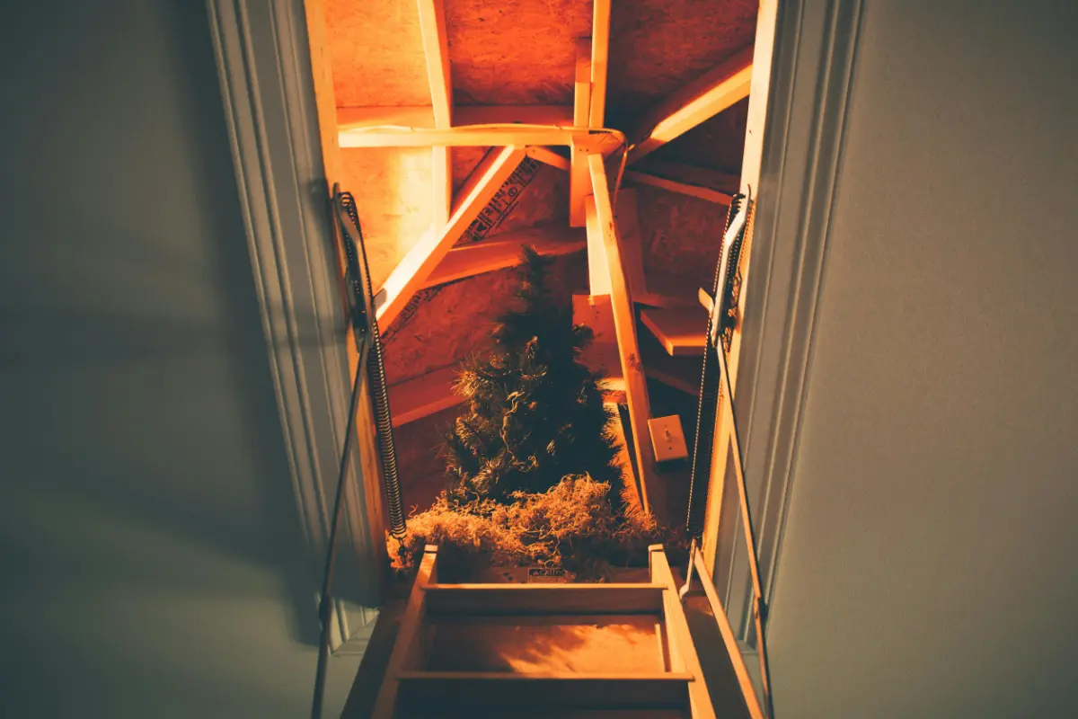 Drywood Termite Attic Treatment | Residential | Boss Pest Control | Port St. Lucie FL