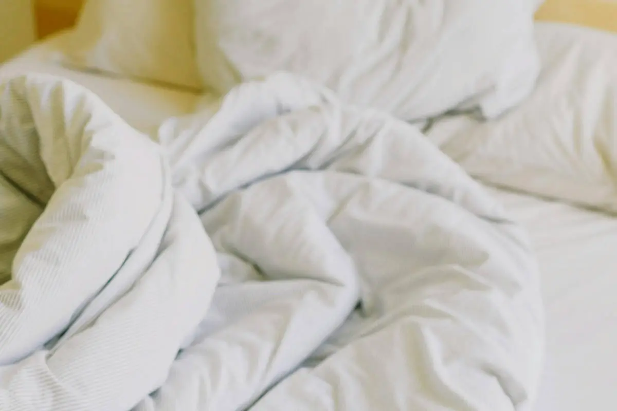 Bed Bug Control | Residential | Boss Pest Control | Port St. Lucie FL