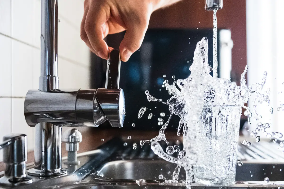 Drain Fly Control | Residential | Boss Pest Control | Port St. Lucie FL