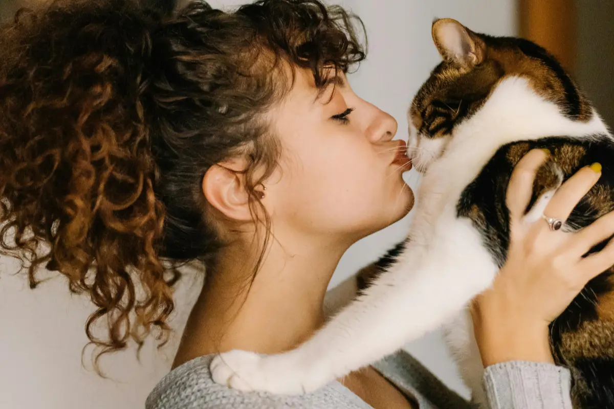 Termite Control | Residential | Boss Pest Control | Port St. Lucie FL