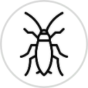 Icon Cockroach