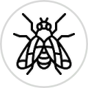 Icon Fruit Fly