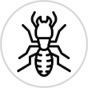 Icon Termite