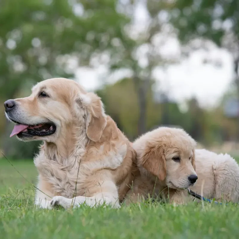 Palm Beach County | Service Area | Boss Pest Control | Florida